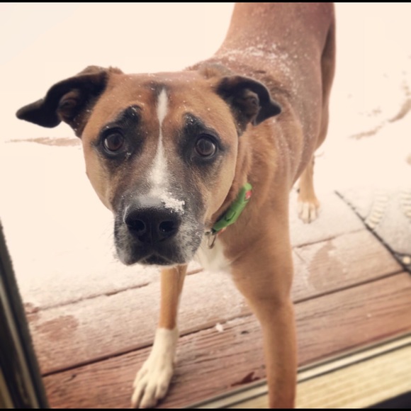 Meet your Posher, Rob - Picture 1 of 1